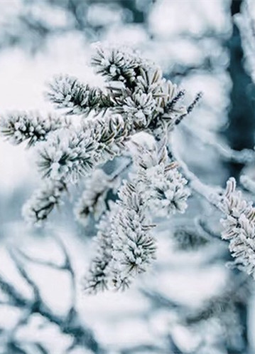 漫天的大雪都来了，家里需要保温的日子还远吗？